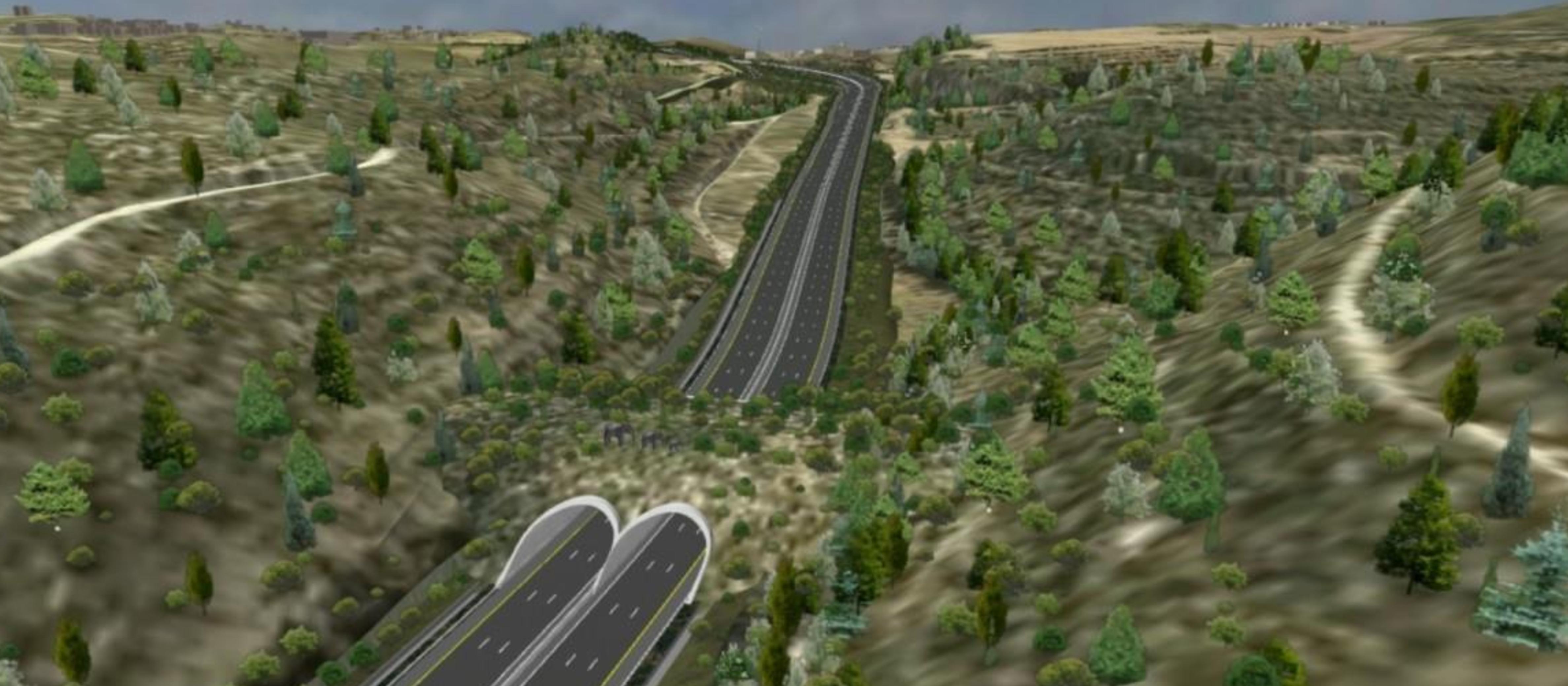 Israel’s new highway helps wildlife cross the road