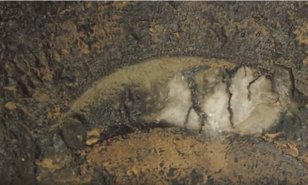WATCH: Amazing exploration of early Christian tombs in Upper Galilee