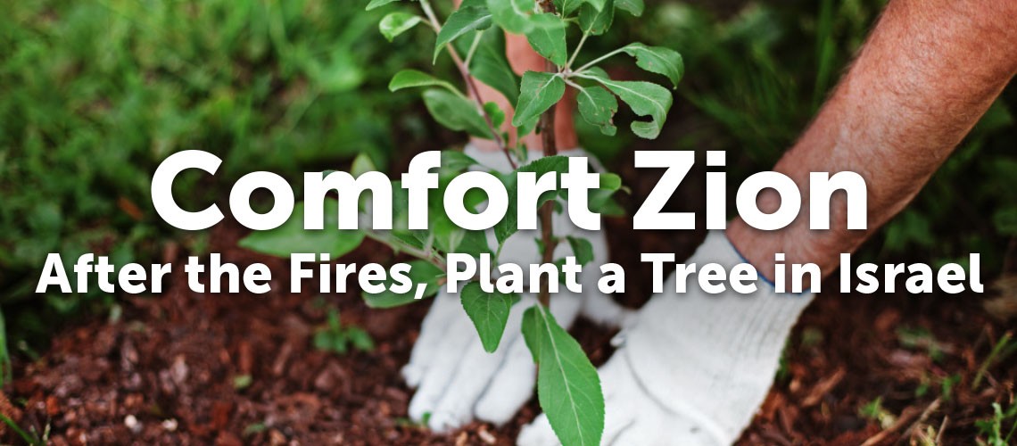 ComfortZion-PlantATree