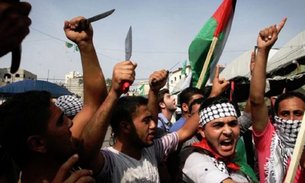 OPINION: Would a Palestinian state really create peace in the Middle East?