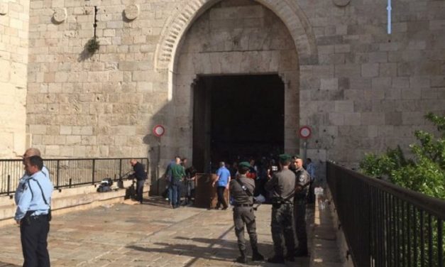 Female Palestinian terrorist shot after attempting to stab Israeli policeman