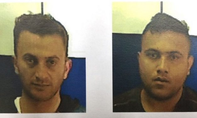 Israel busts Palestinian terror cell