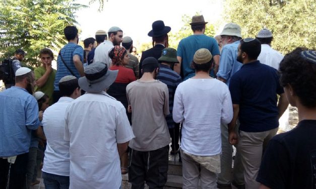 Jordan warns record number of Jewish visitors to Temple Mount could spark further tensions