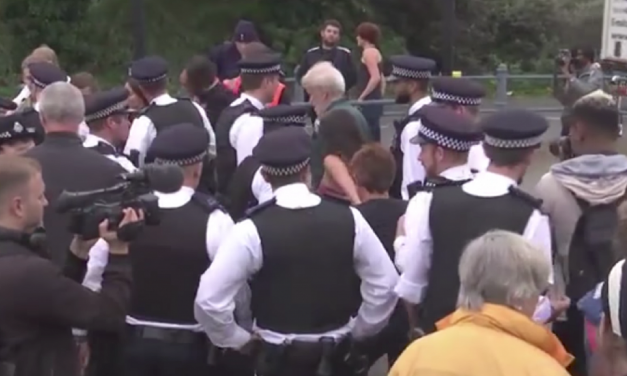 Anti-Israel protesters arrested at London arms exhibition demo