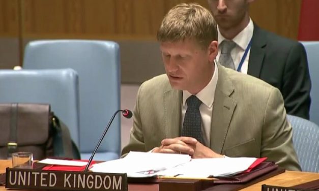 British UN representative blames “occupation” for “unfulfilled” Balfour Declaration
