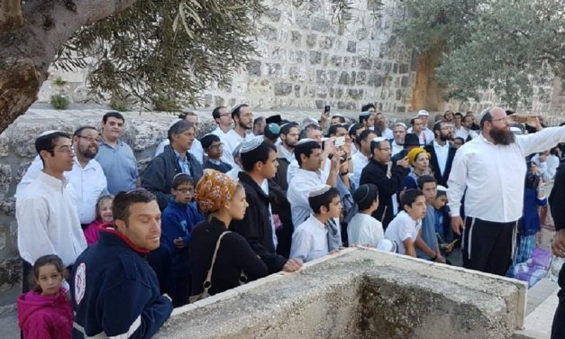 Jordan condemns Jews visiting Temple Mount as “provocation of Muslims’ feelings”
