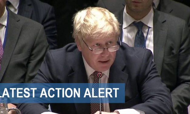 United Nations: STOP the Israel-bashing
