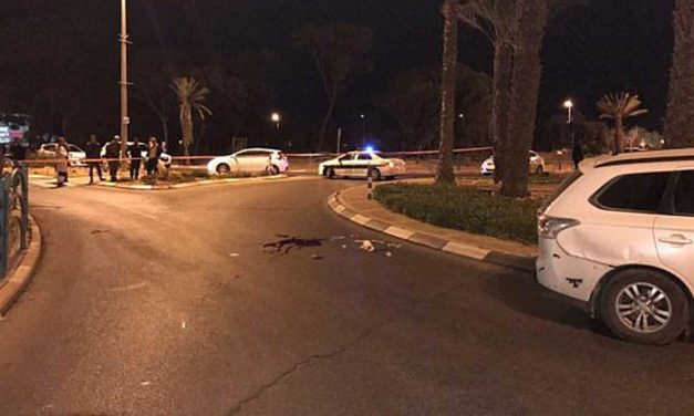 BREAKING: Israeli teen stabbed to death in terror attack in Arad, Israel