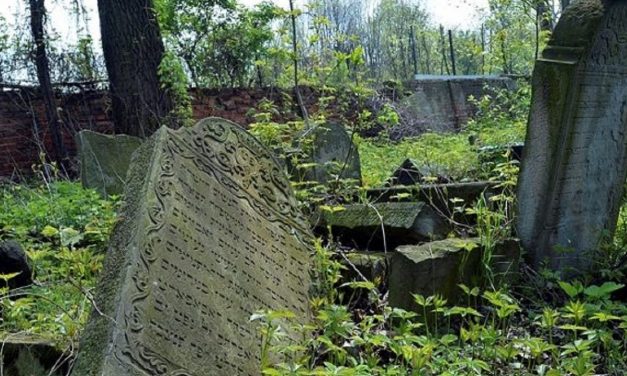 Poland: Outrage as Jewish cemetery dug up for new supermarket