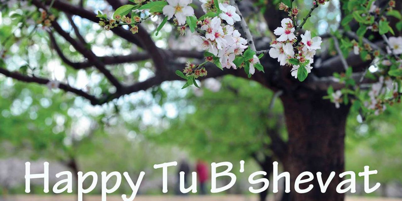Tu B’Shevat – the New Year for Trees and its Biblical teachings for Christians