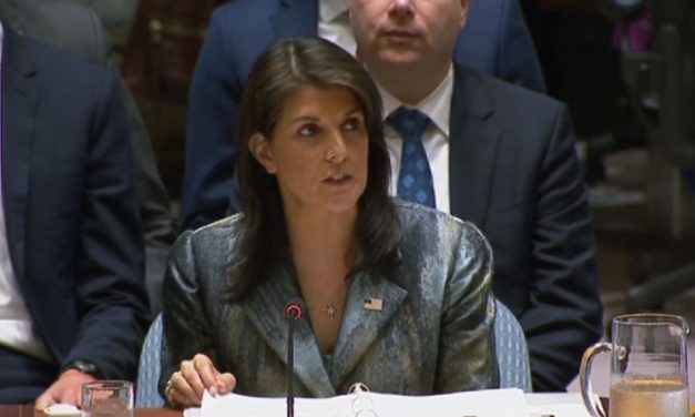 UK joins EU in warning about Haley’s omission of “Palestinian state”
