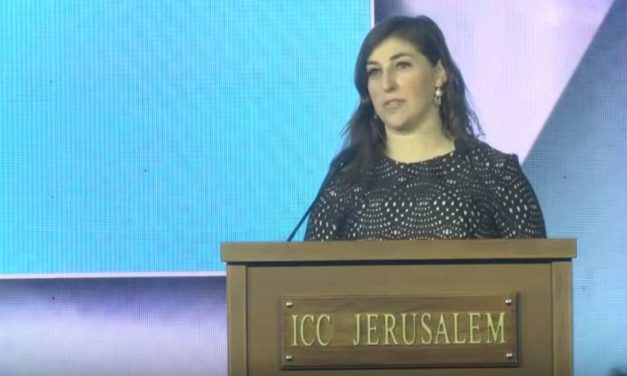 Actress Mayim Bialik: “I am happy to take public bullet for Israel”