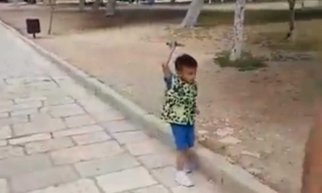 Watch: Palestinian children threaten Jews with toy knives and guns on Temple Mount