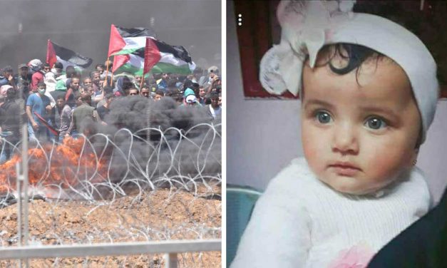 Hamas-run health ministry REMOVES baby from Gaza death toll