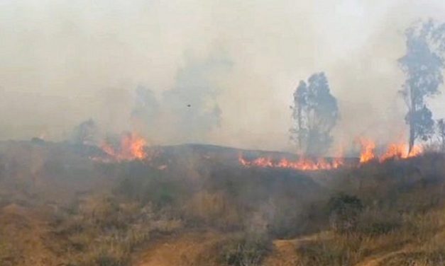 WATCH: Palestinian “Fire kites” light destructive wild-fire near Israel border