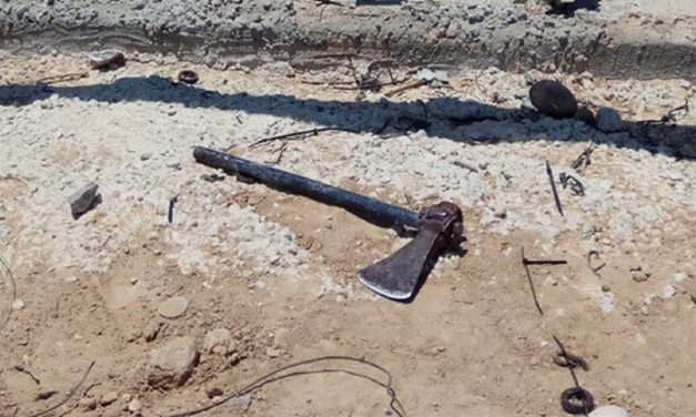 IDF shoots axe-wielding terrorist attempting to breach border