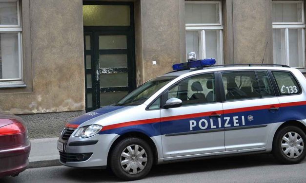 Turkish man beats Jews in front of kosher shop in Vienna