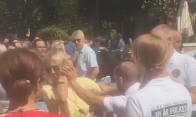 Sweden: Neo-Nazis attack two Pro-Israel women at festival