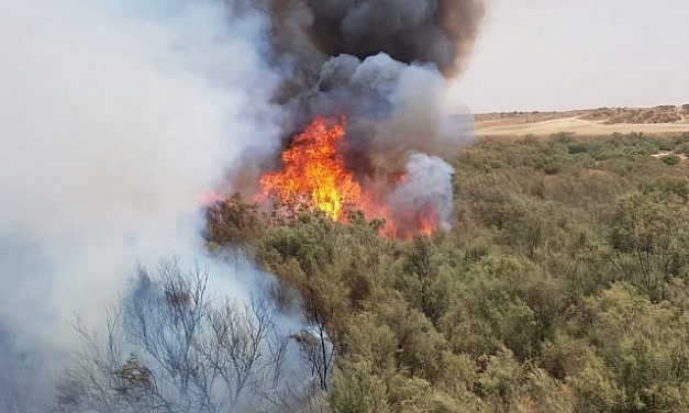 Israel experiences record-breaking heatwave; fires rage throughout country