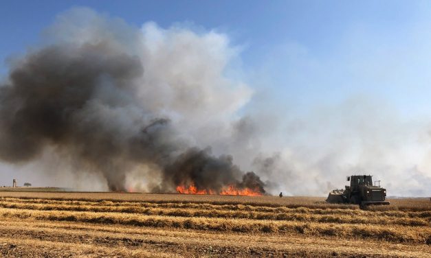 Palestinian terror arson causes Twenty-nine fires at Gaza border in a SINGLE DAY