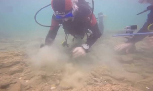 WATCH: Israeli divers work to protect ancient relics on ocean floor around gas field