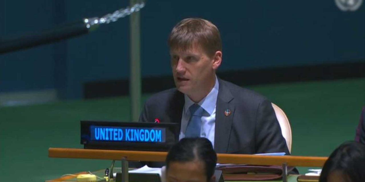 UK votes in favour of Palestinians having more power at UN to lead largest country bloc in 2019