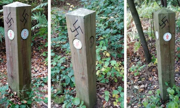 Swastikas found at nature walk in North London