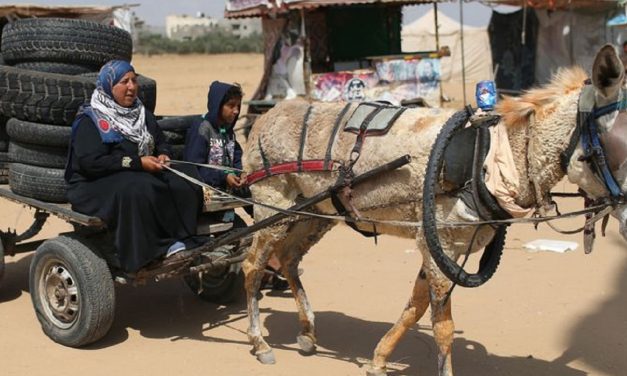 News report blames ISRAEL for shortage of tyres in Gaza, despite THOUSANDS being burned by Palestinian rioters