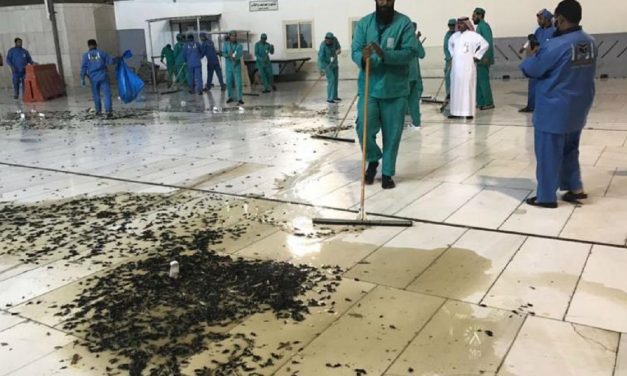 UN warns of plague of LOCUSTS to reach Egypt around Passover