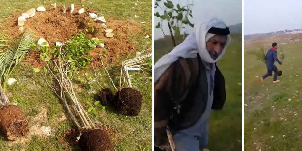 Palestinians uproot memorial trees to Jewish teen murdered by terrorist