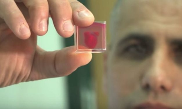 Israeli scientists create 3D-printed heart in major medical breakthrough