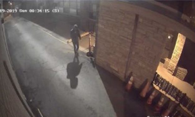 Synagogues in Chicago and Boston targeted by arson