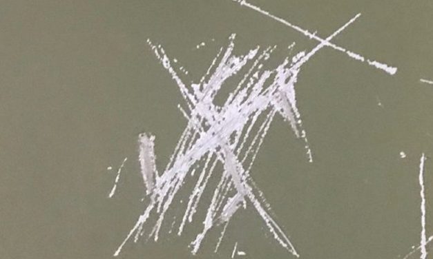Swastika found scrawled INSIDE Parliament