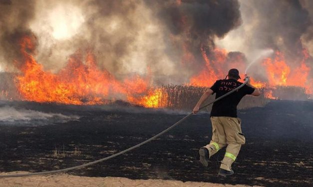 As wildfires spread in Israel, Gazan terrorists send “arson balloons” across border burning over 80 acres