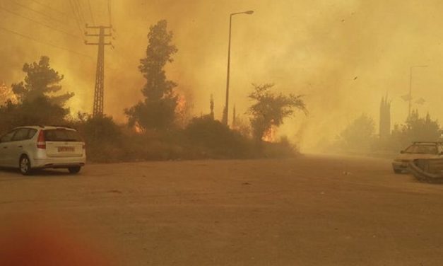 Massive wildfires sweep through Israel; Netanyahu asks for assistance