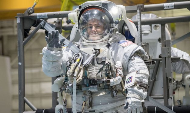 Astronaut to take Israeli flag to space