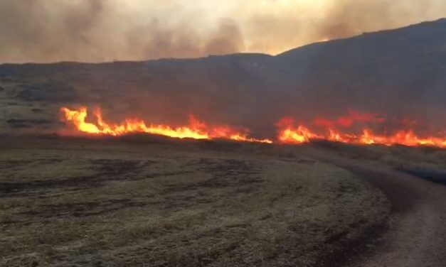 Suspected arson causes huge wildfire raging in Samaria