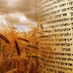 Shavuot: What Christians should know about the ‘Feast of Weeks’