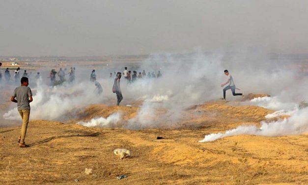 Seven Palestinians injured by terrorist rockets fired from Gaza