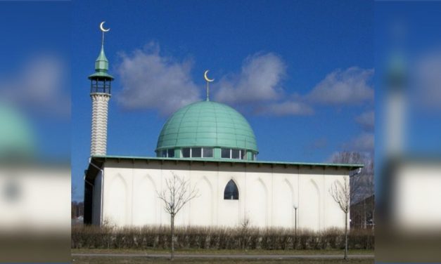 Sweden: Imam fined for calling Jews “offspring of apes and pigs”