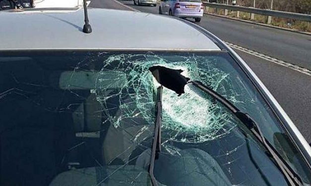 Israeli man injured by rock-throwing terrorists whilst driving