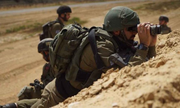 IDF to hold largest every military exercise this summer