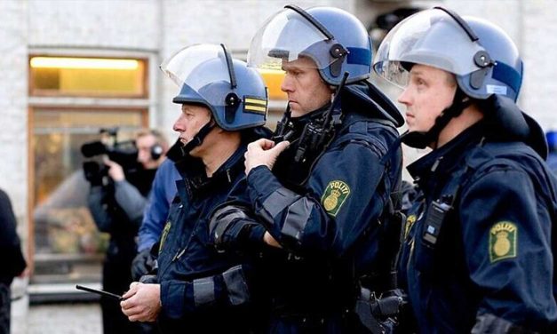 Danish police arrest 20 for radical Islamic terror plot