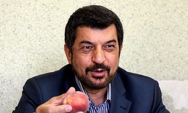 Iranian TV presenter arrested for accusing regime of Coronavirus cover-up