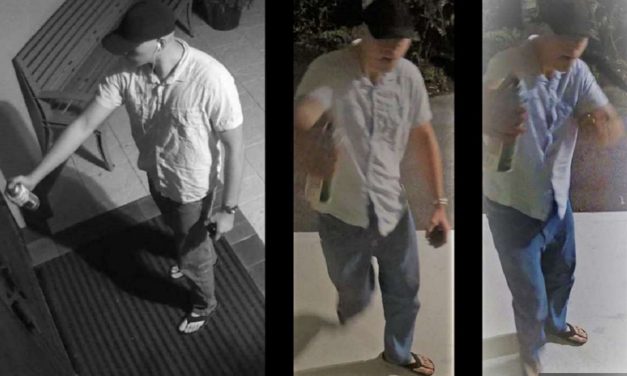 Two synagogues in Florida vandalised with swastikas