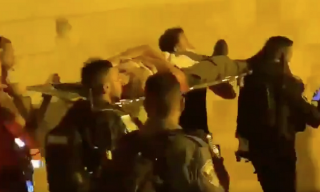 19-year-old Israeli border officer stabbed by Palestinian terrorist is released from hospital