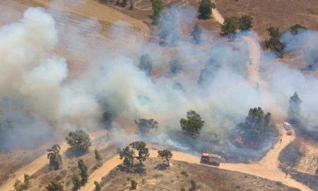 Hamas terror balloons start 100+ fires in Israel, IDF responds striking Hamas terror targets in Gaza