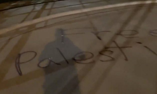 BLM protester sprays ‘Free Palestine’ on synagogue driveway