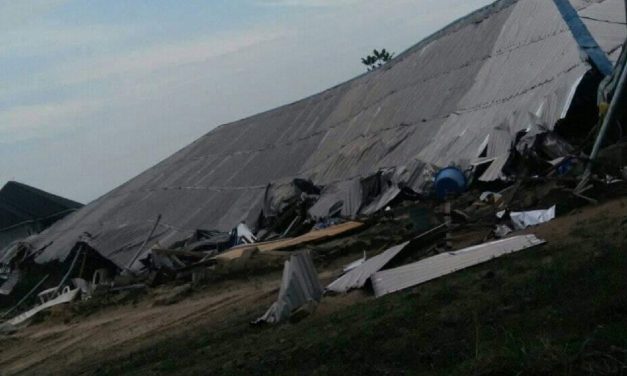 50 killed as SIX Igbo synagogues are destroyed by soldiers in Nigeria’s Biafra region