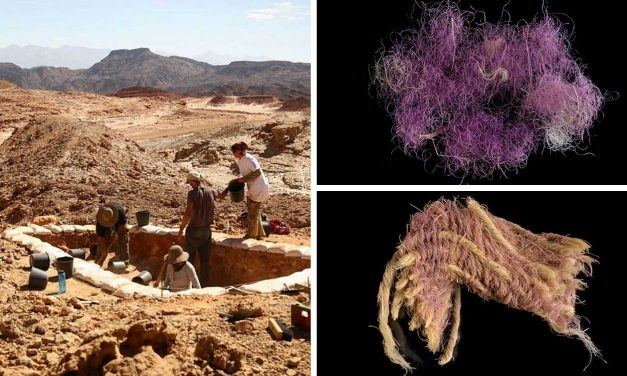 Biblical ‘royal’ purple dyed cloth found in Israel, dates to King David’s era